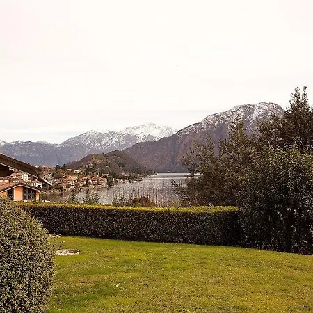 Degli Ulivi *