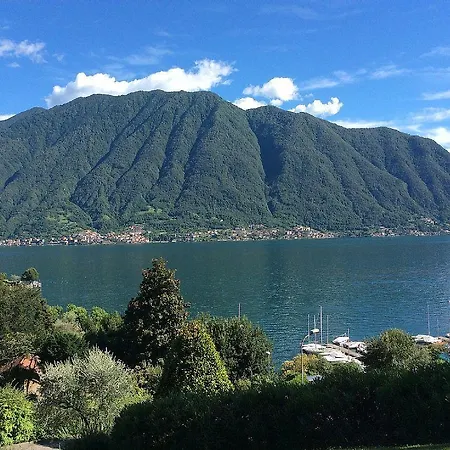 Degli Ulivi